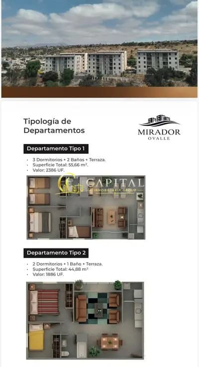 Imagen 11